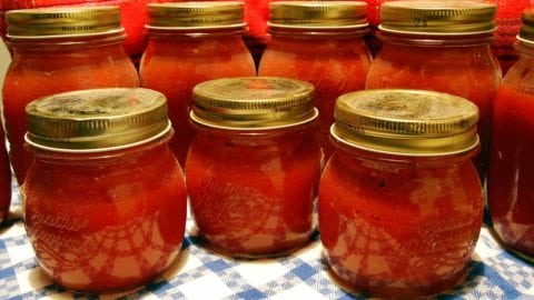 pomodoro