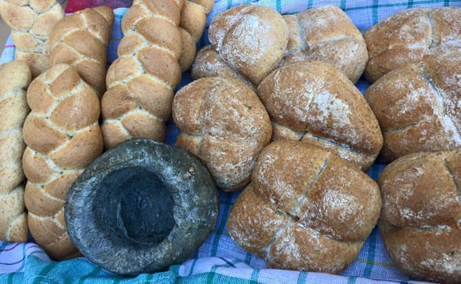 panini millenari di Angera de.co