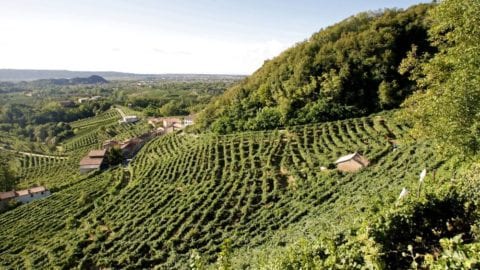 colline-prosecco