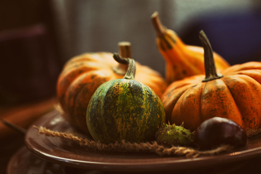 variety-of-pumpkins