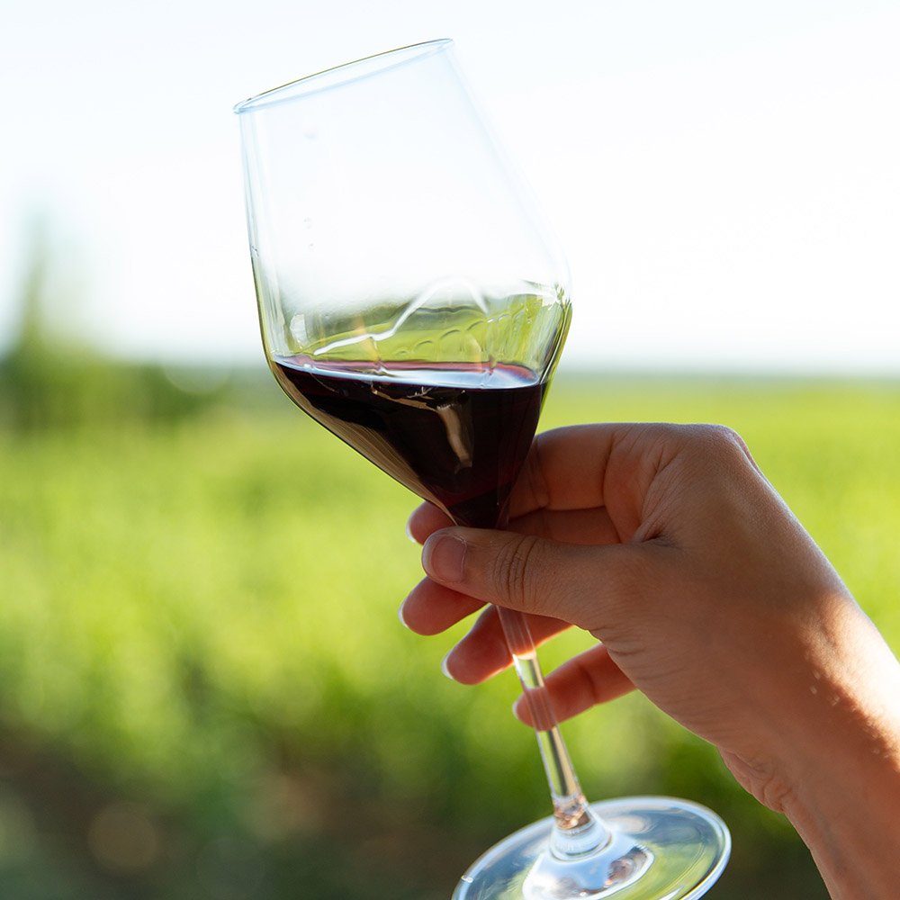 vino aglianico caratteristiche