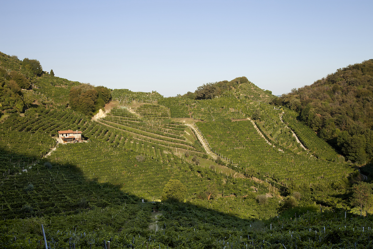 particella 86 merotto