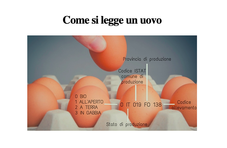 L'infografica su come si legge un uovo a cura di Uovoitaliano.it