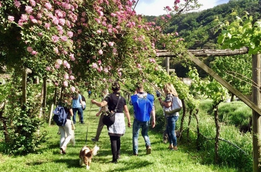 Gemme di gusto Trentino