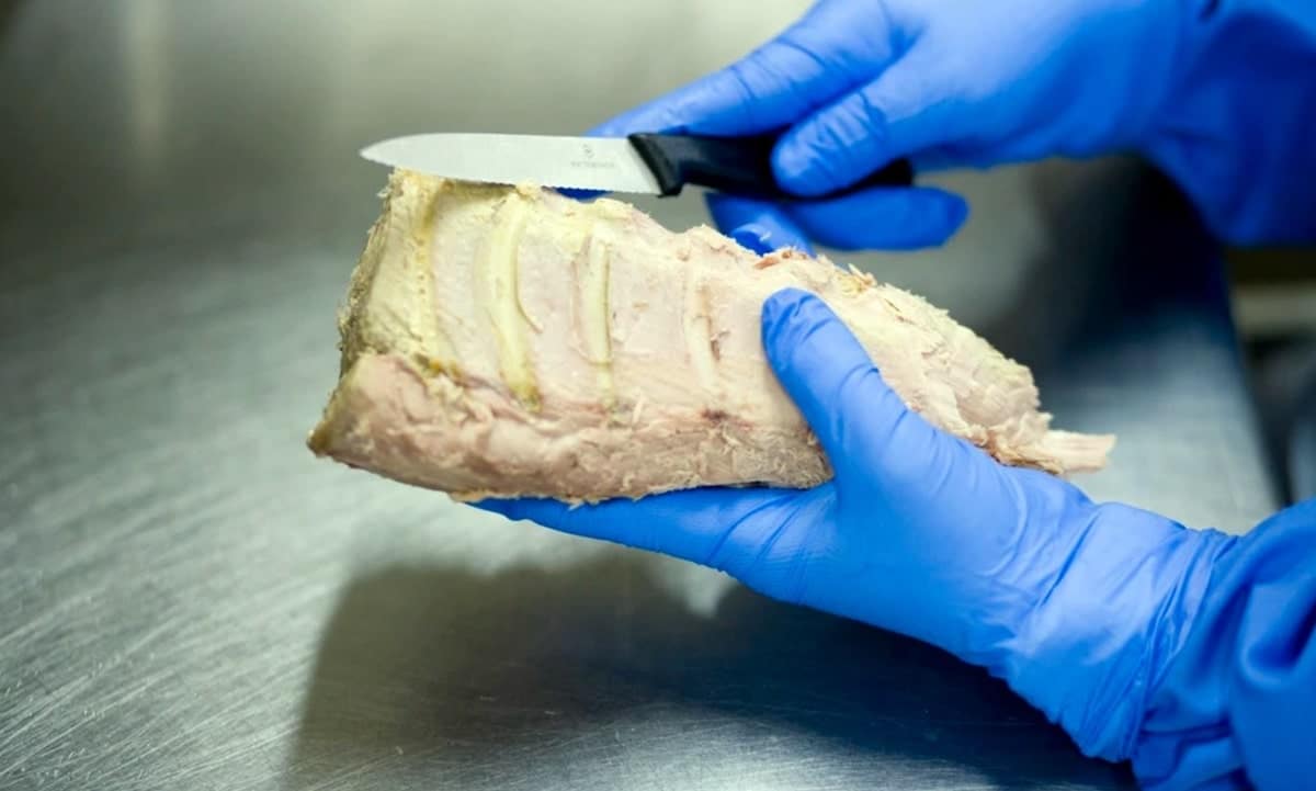 tonno-in-scatola-italiano