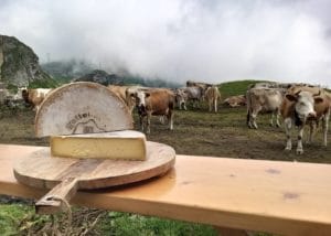 formaggio Bettelmatt