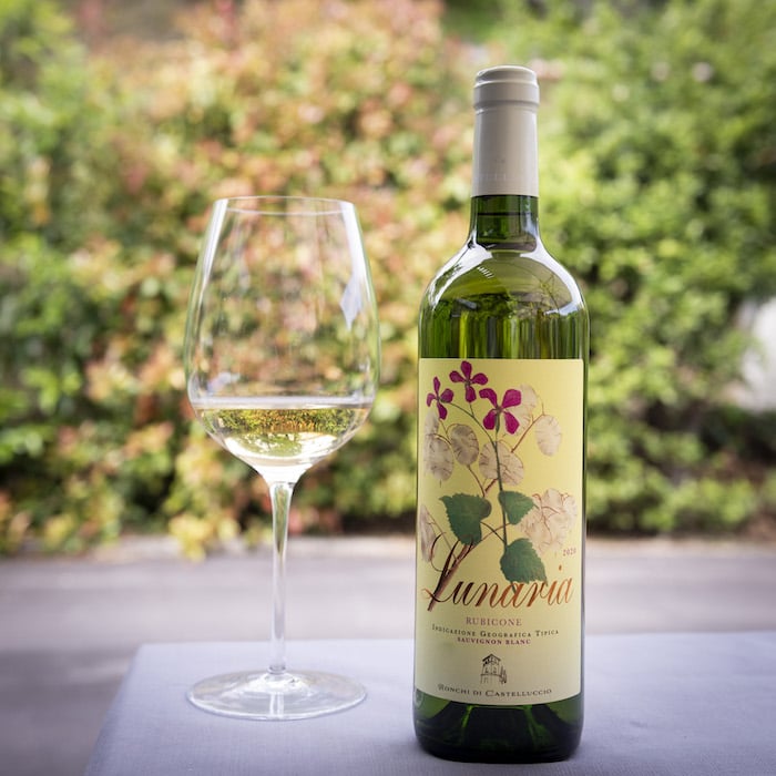 Lunaria Sauvignon Blanc Ronchi di Castelluccio