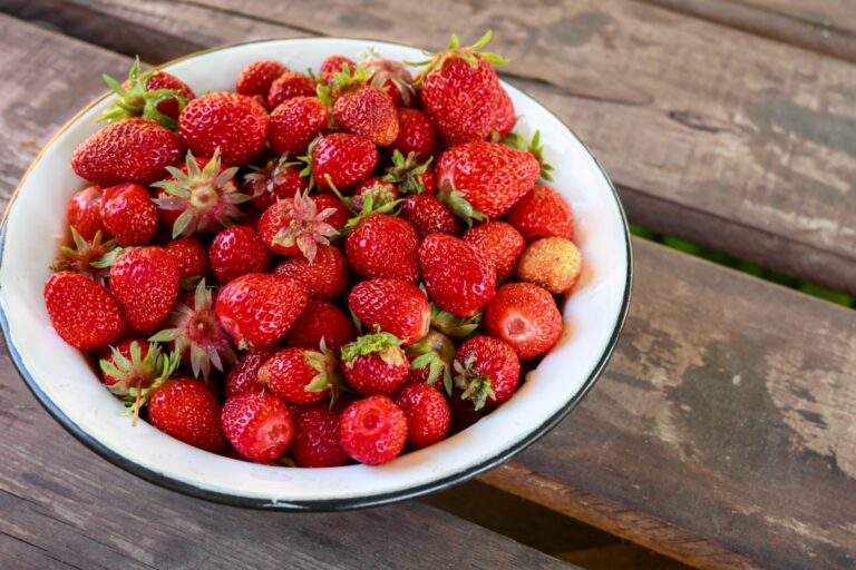 Fragole: proprietà, benefici, calorie e varietà