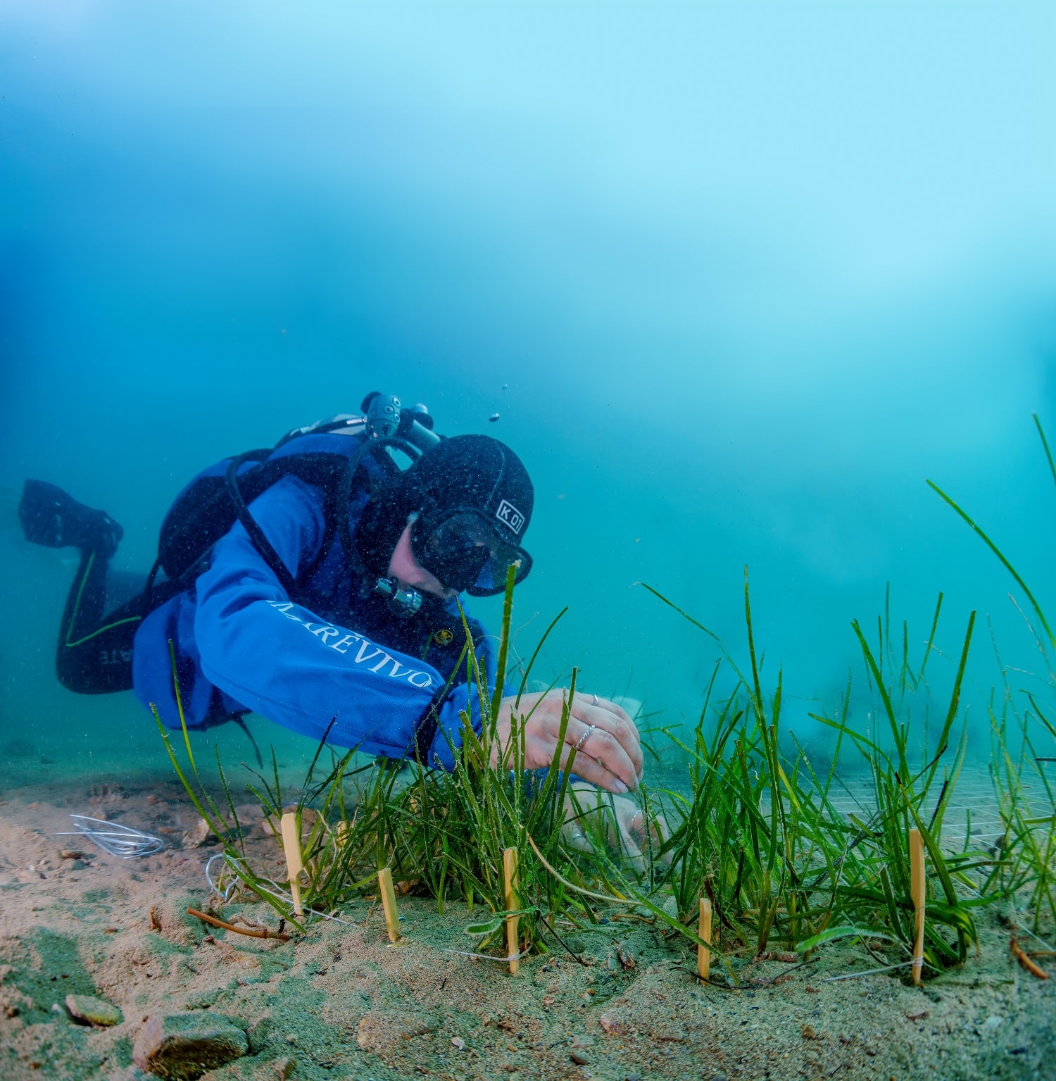 Progetto Marevivo e La trappe