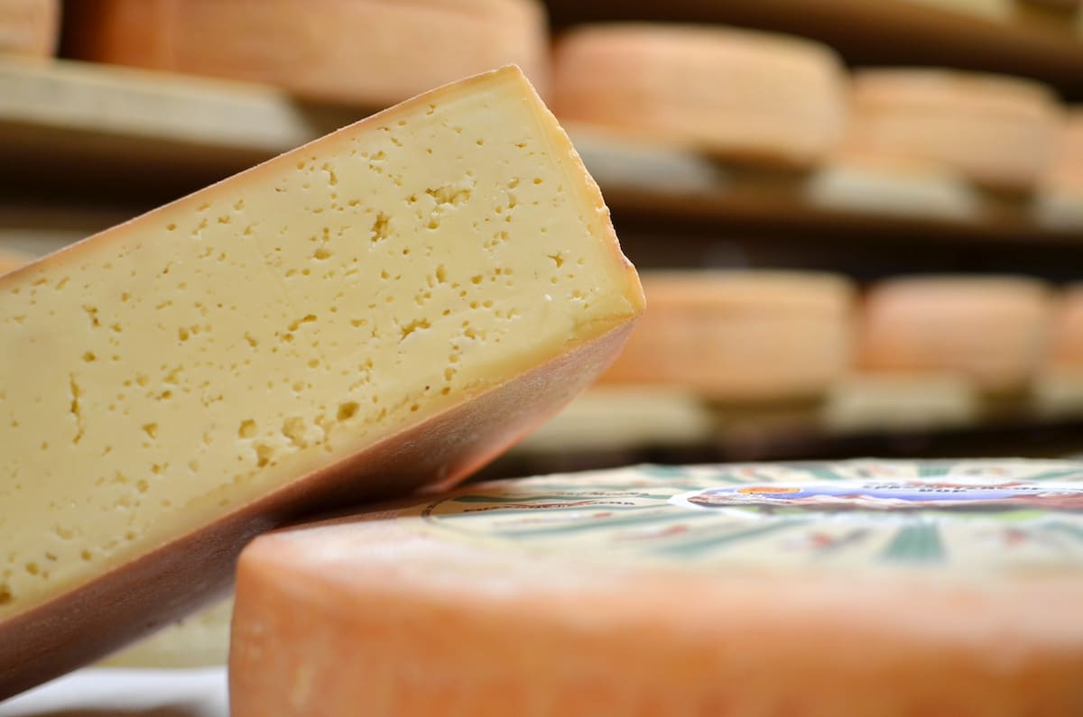 italian-cheese-awards-Puzzone di Moena DOP-Agritour El Mas