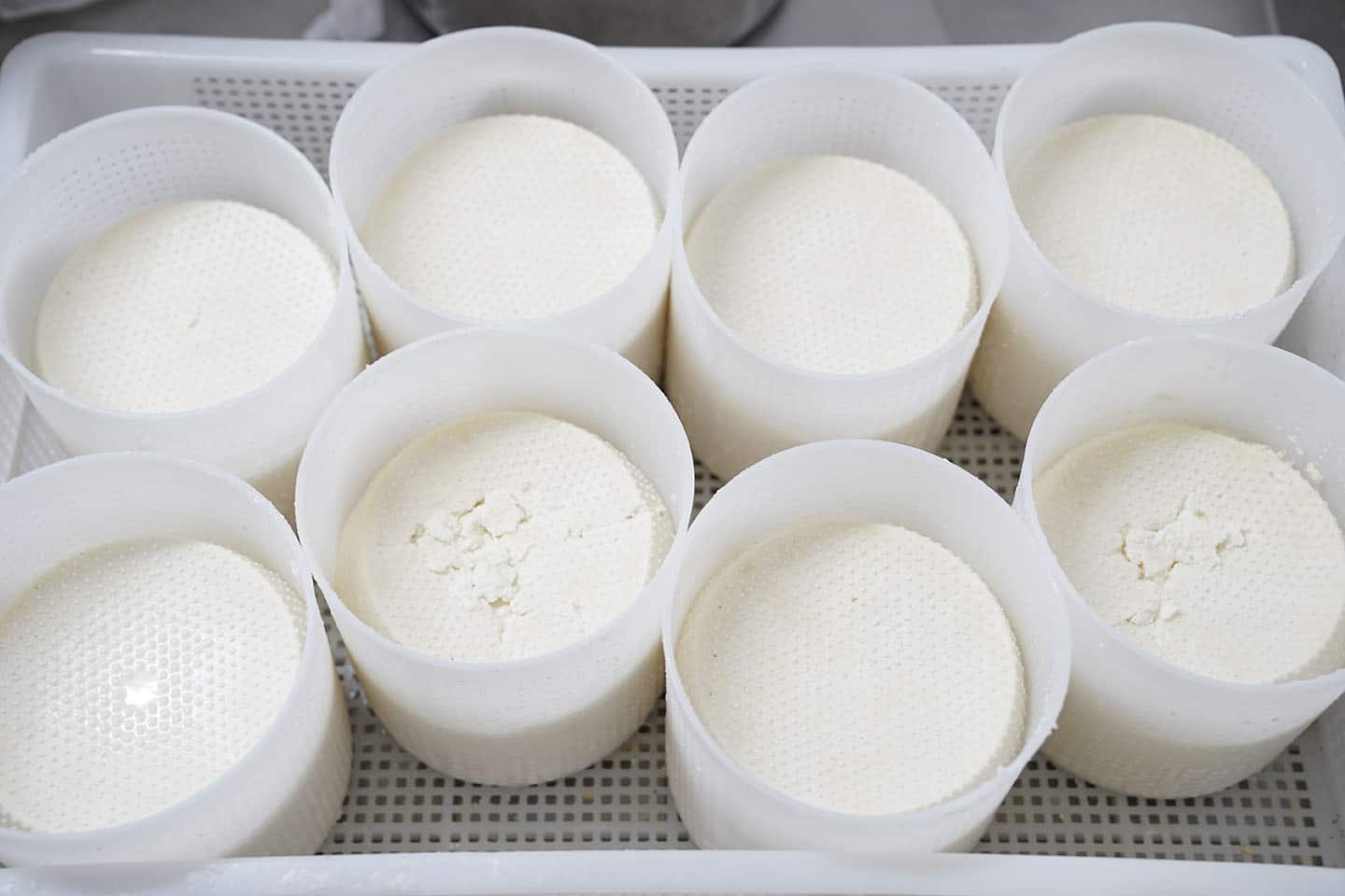 monti-sicani-sicilia-Ricotta-caseificio-Vinti-San-Biagio