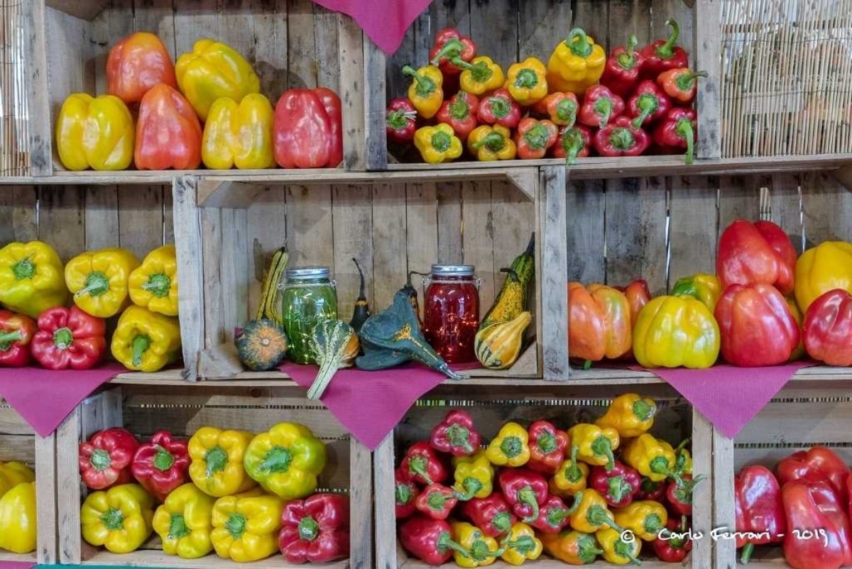 peperone di carmagnola
