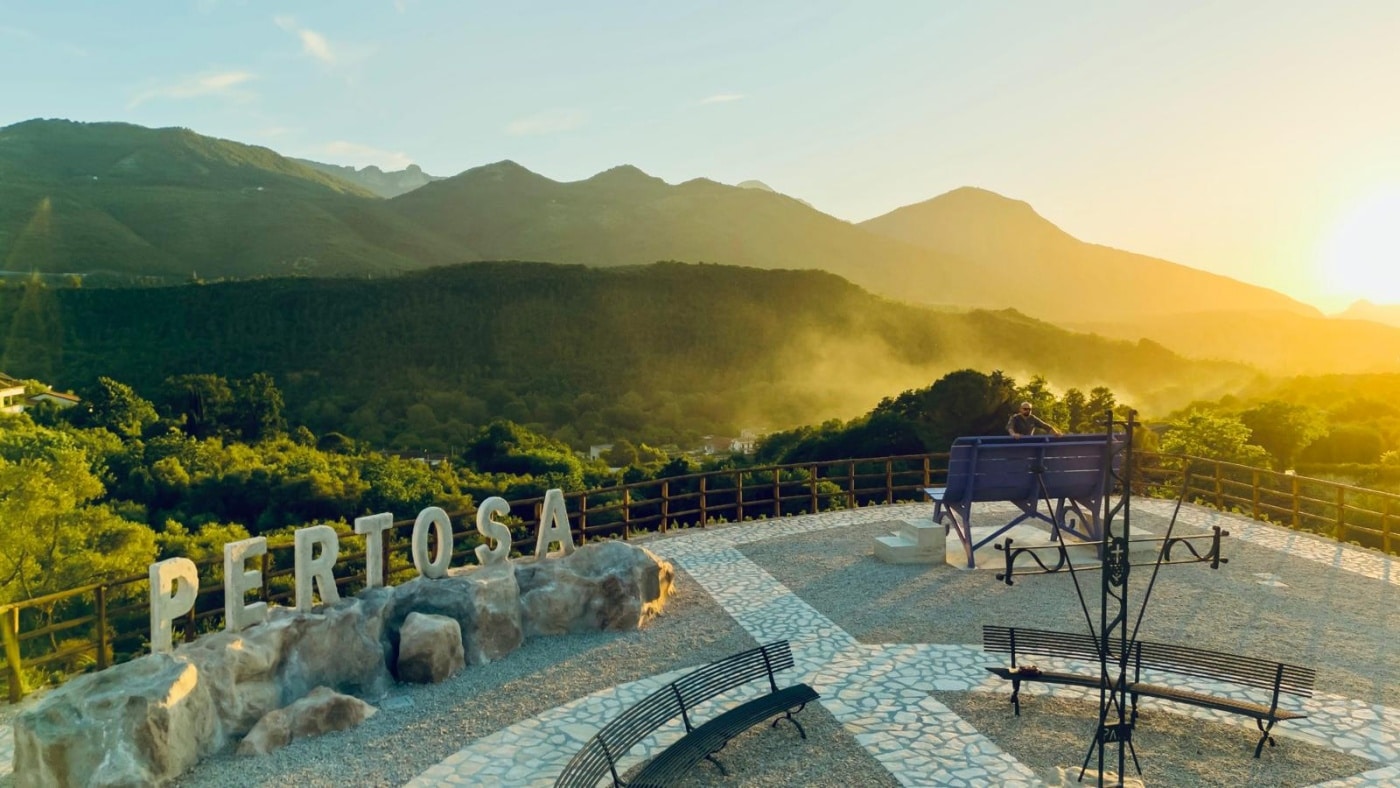 Carciofo Bianco di Pertosa