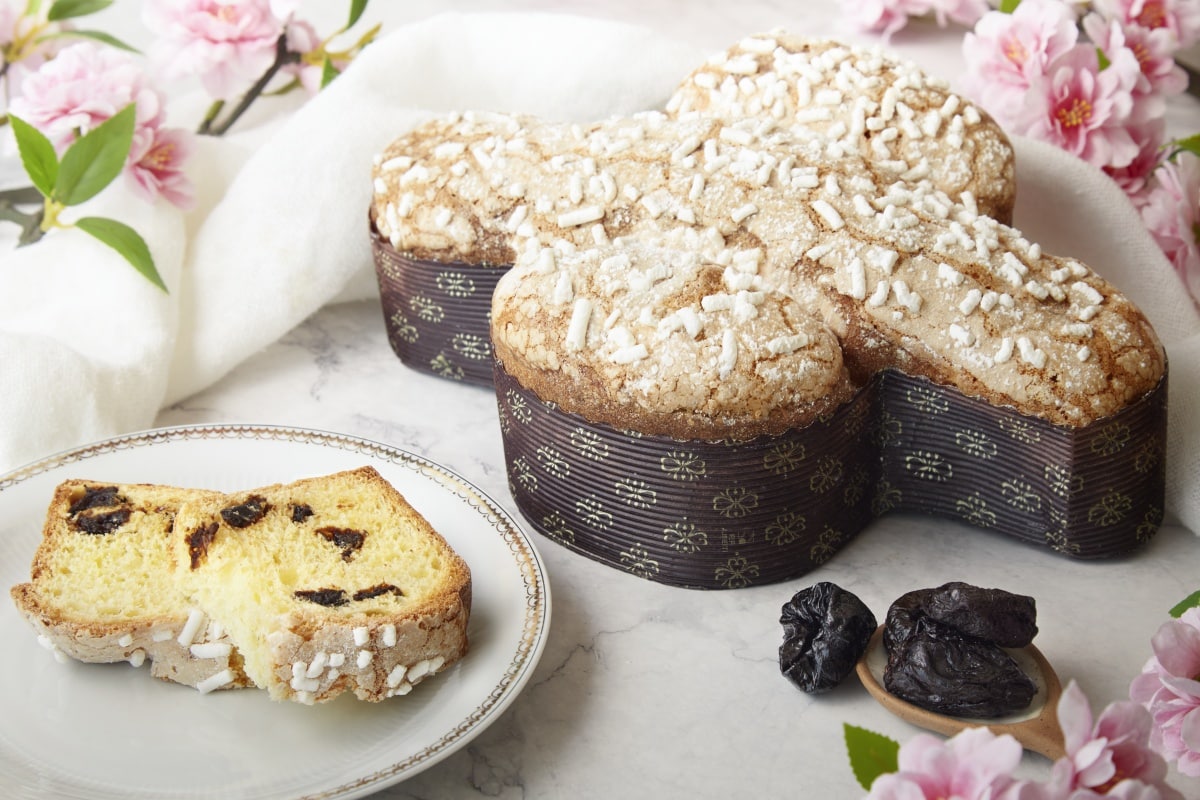 colomba-prugne-la-thuile