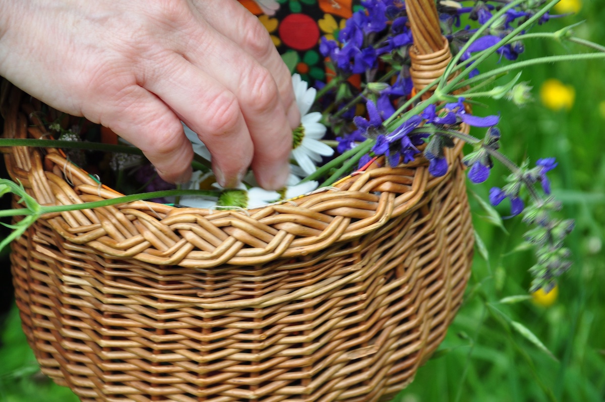 malghe-in-fiore-trentino_©Christiane Gruber