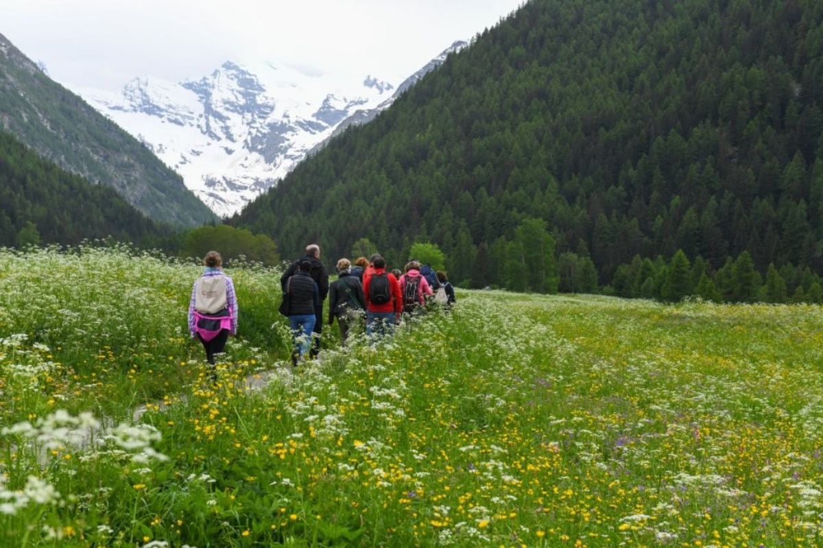 Cantine-Gourmet-cogne Cantine-Gourmet-cogne