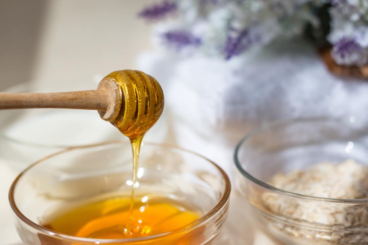 ricette-con-miele