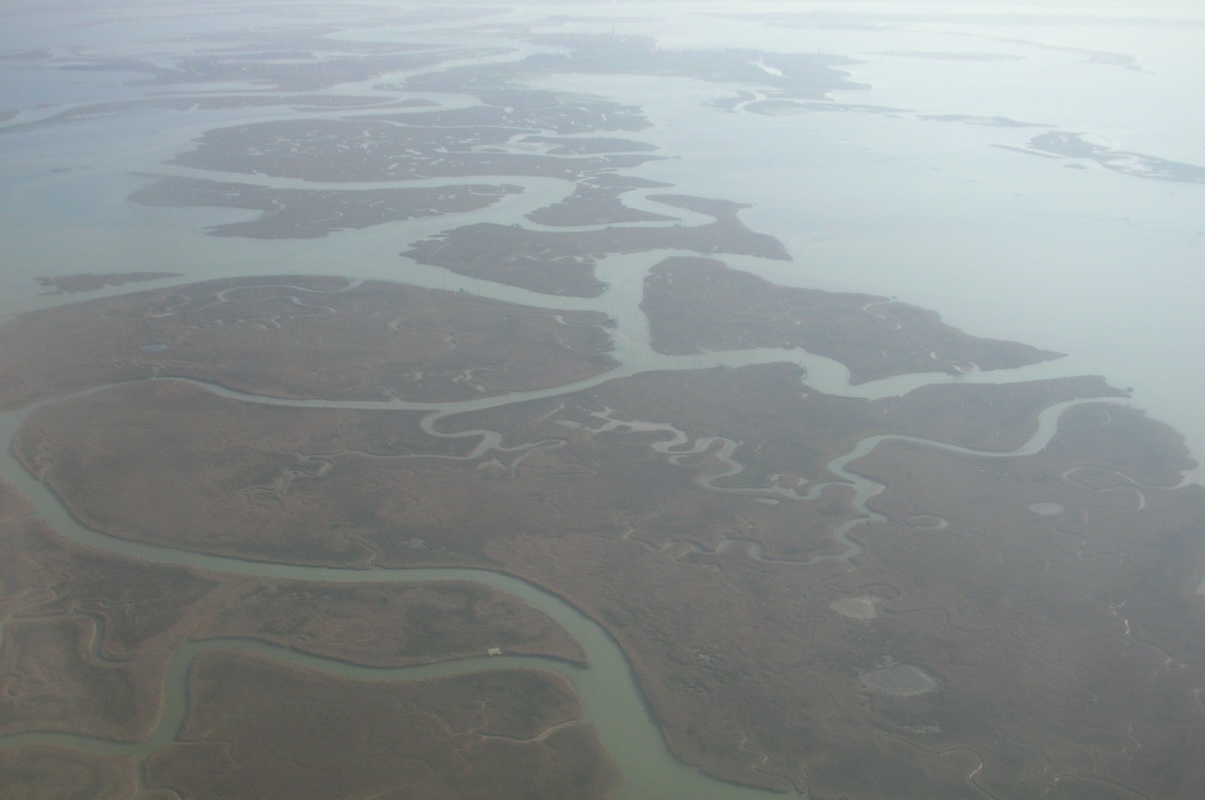 Barene della Laguna di Venezia