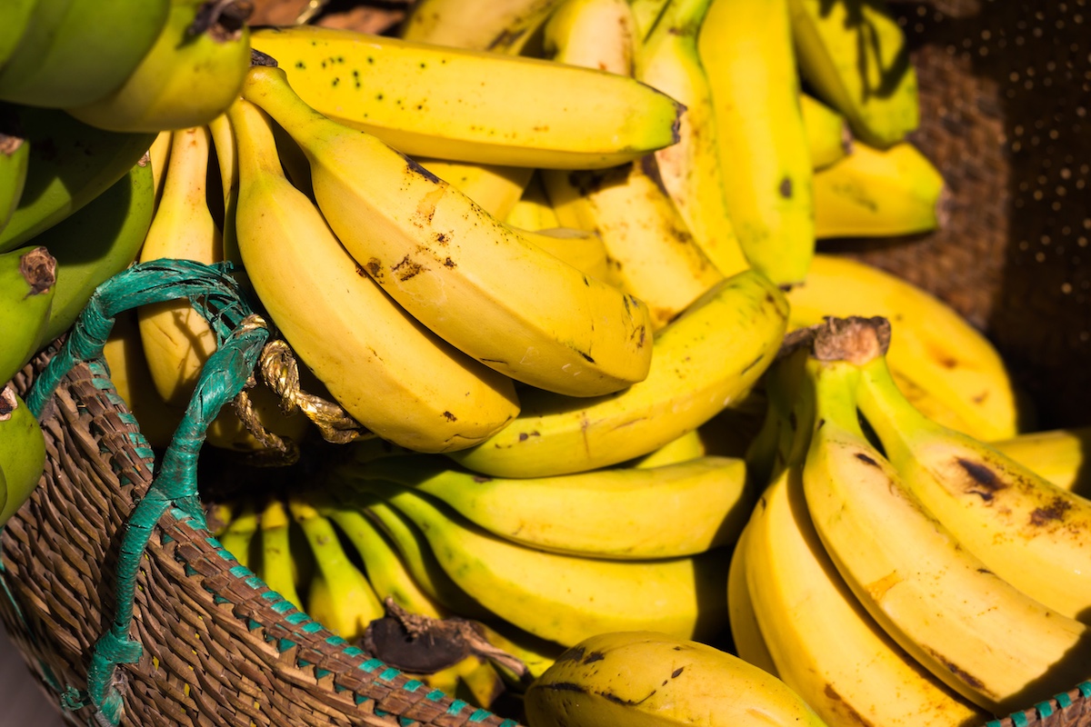 fairtrade-commercio-equo-e-solidale fairtrade-commercio-equo-e-solidale