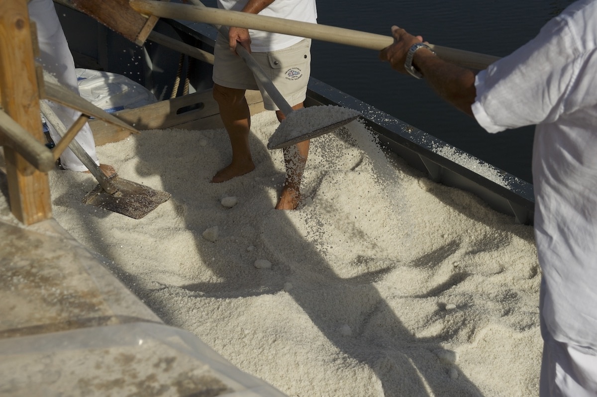 sapore-di-sale-cervia-eventi-settembre sapore-di-sale-cervia-eventi-settembre