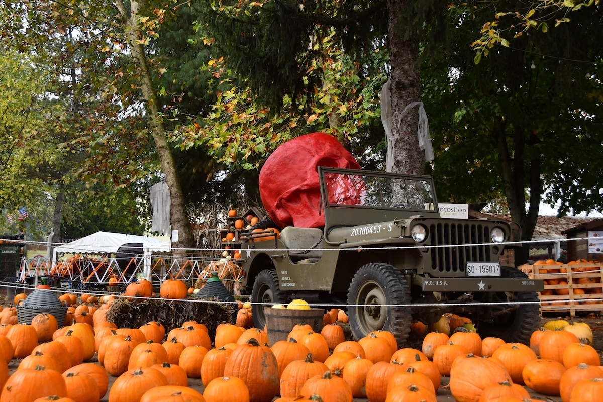 villaggio-zucche-pavia