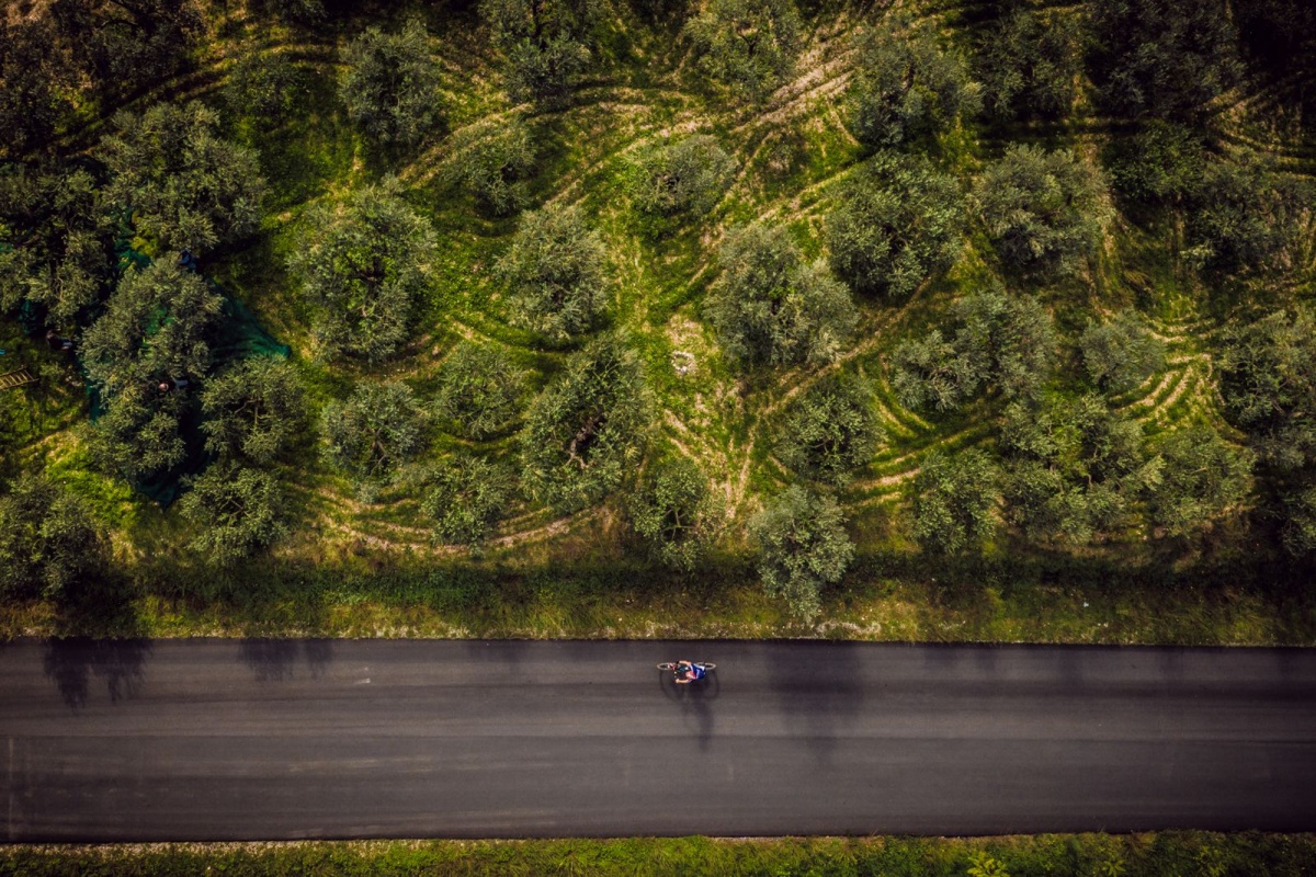 Frantoi aperti in Umbria Frantoi aperti in Umbria