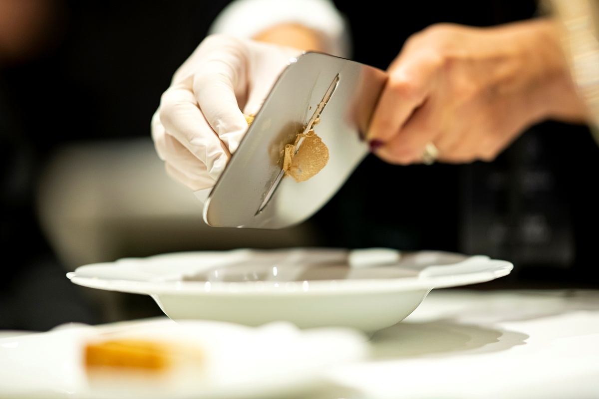 fiera-tartufo-bianco-alba fiera-tartufo-bianco-alba