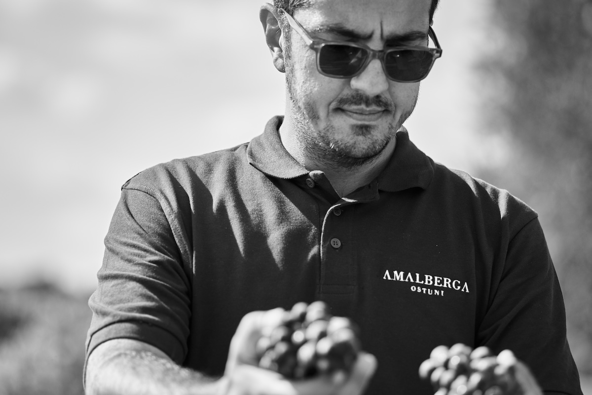 Dario De Pascale - Amalberga