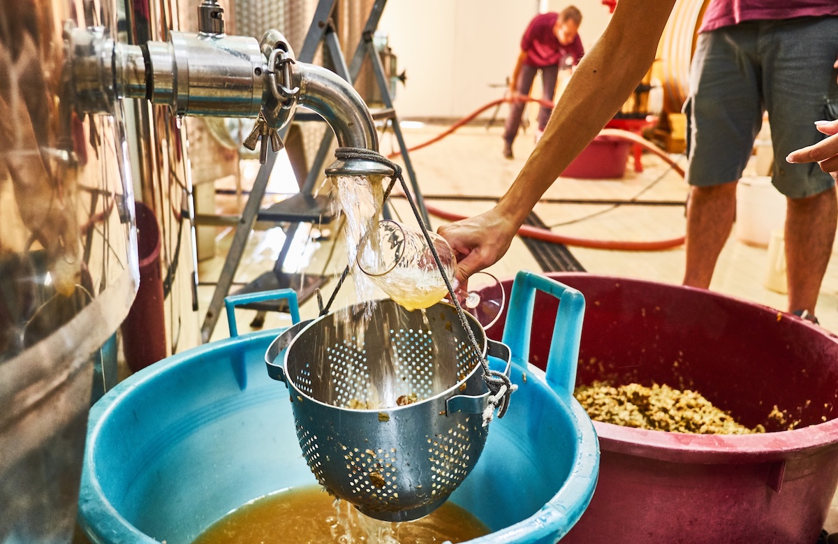 vinificazione del francavilla