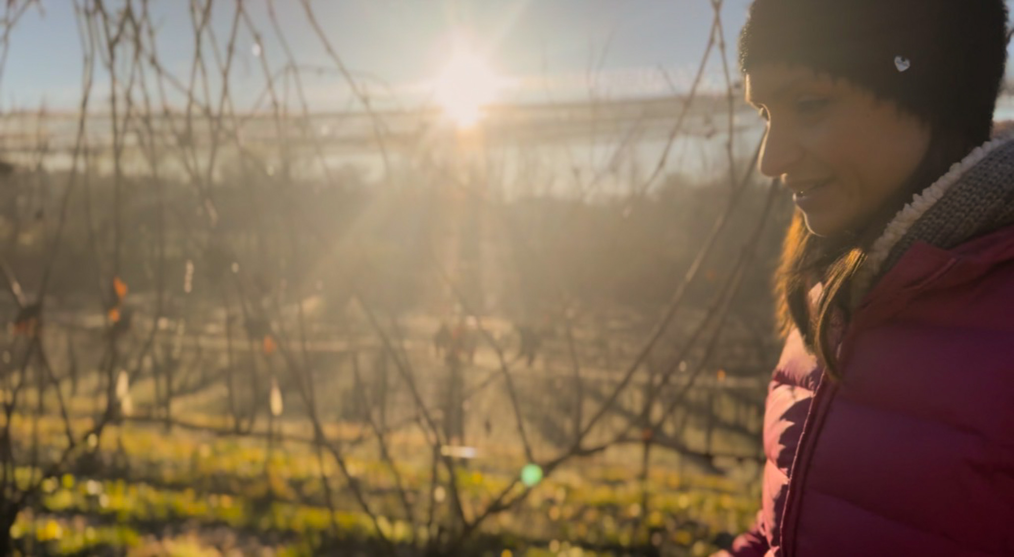 vigneti di Cà dell'Orsa