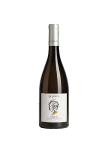 LA PONCA_ribollagialla