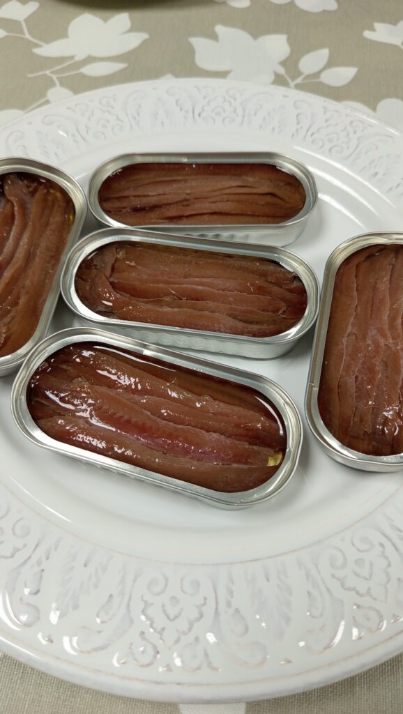 acciuga del cantabrico