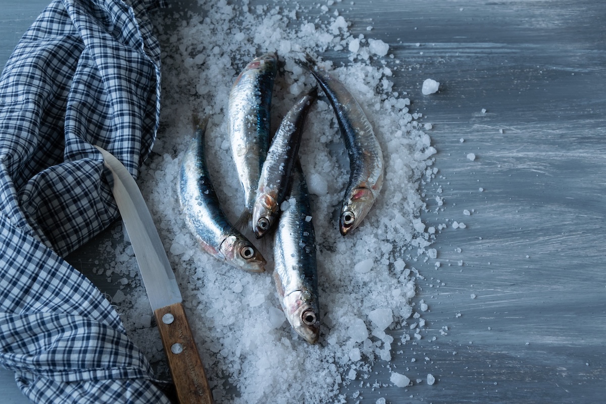 La storia del vitello tonnato: il ruolo delle Acciughe sotto sale