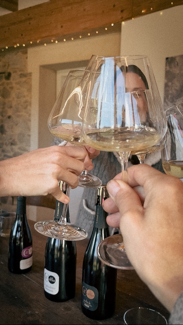 degustazione in cantina viggiù