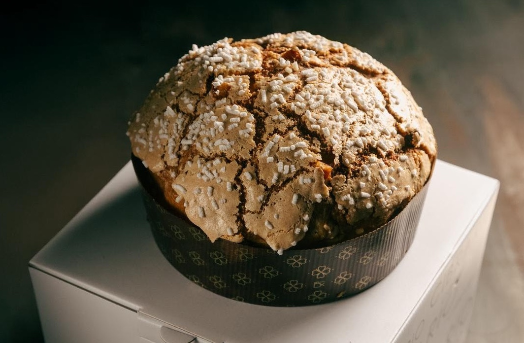 panettone-jacopo-pistone