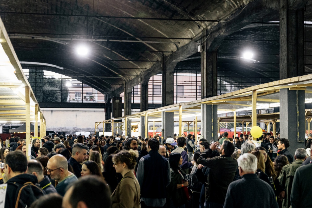 ViniSelvaggi ViniSelvaggi