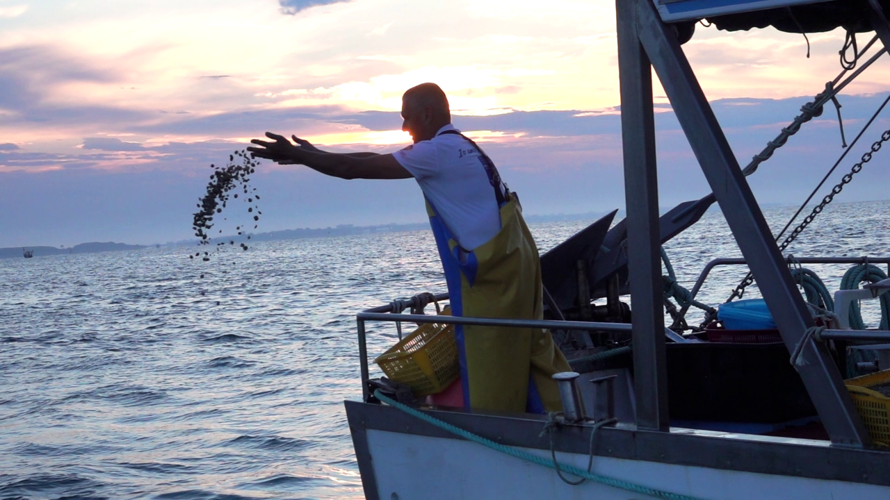 pesca delle vongole nell'alto adriatico