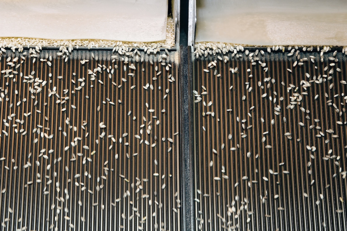 Lomellina Riseria Castelli SELEZIONATRICE OTTICA ®Mesturini_Morelli