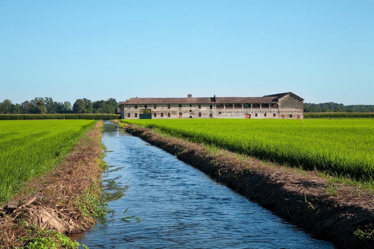 Lomellina canali irrigazione