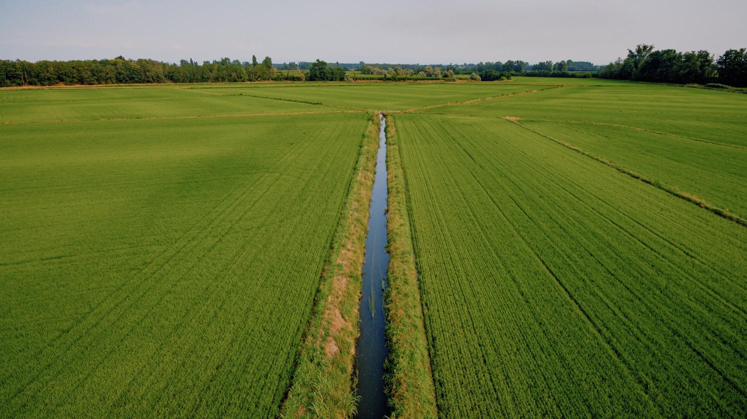 Santuario della Madonna dal Soc ©Morelli_Mesturini