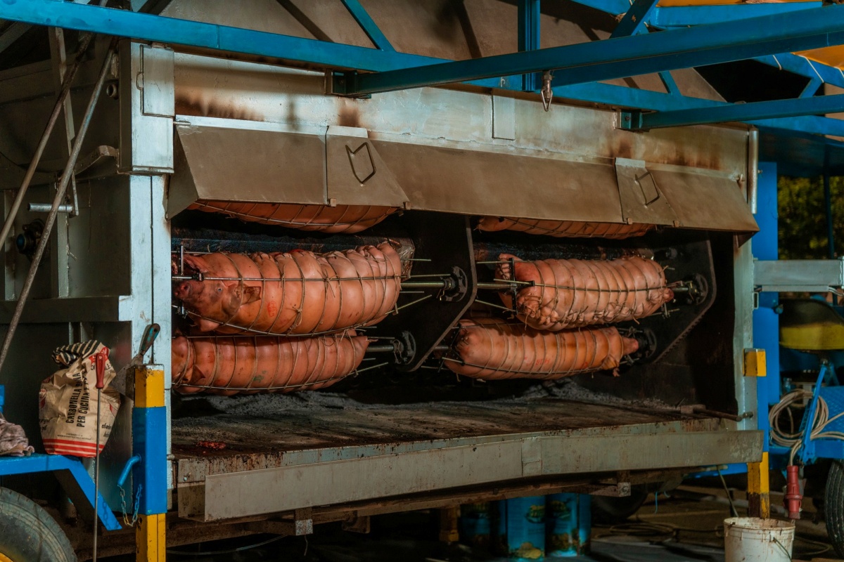 sagra-della-porchetta-lavezzola