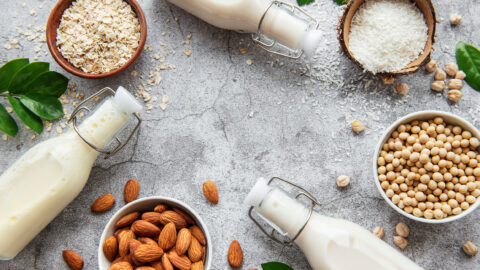 latte vegetale fatto in casa