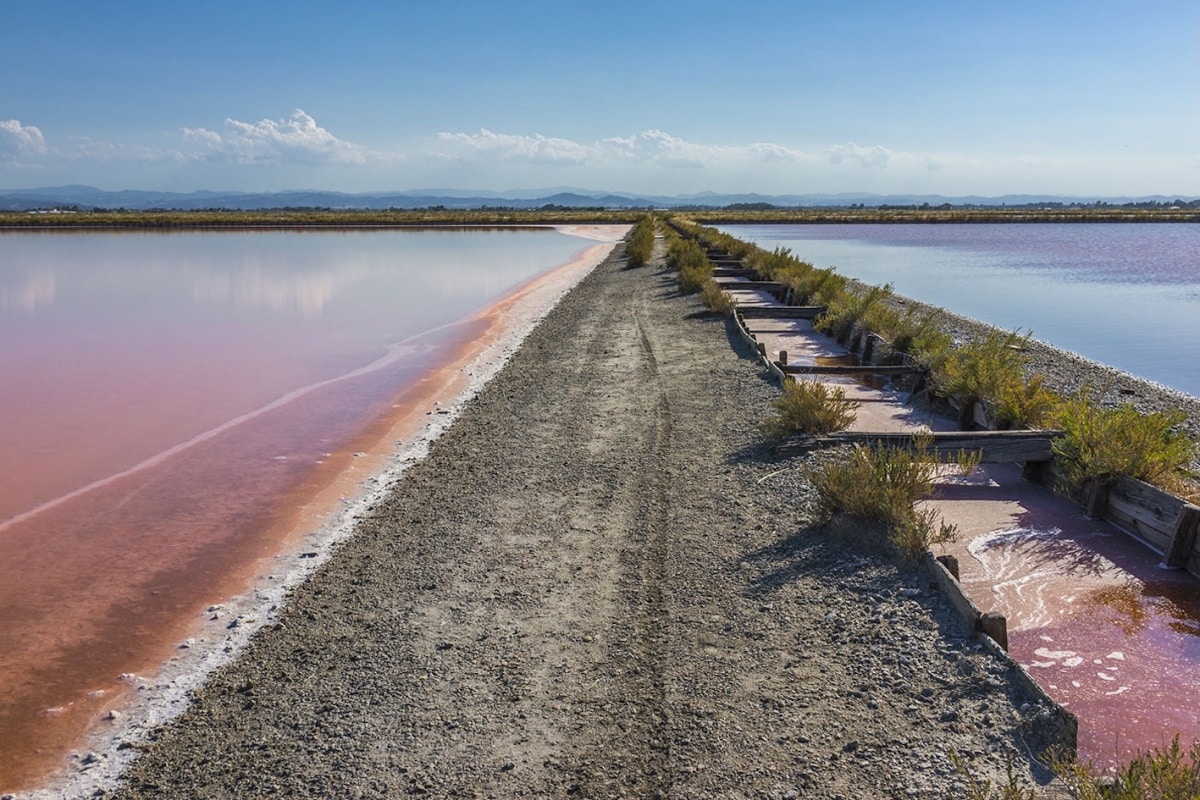 saline-sapore-di-sale-cervia