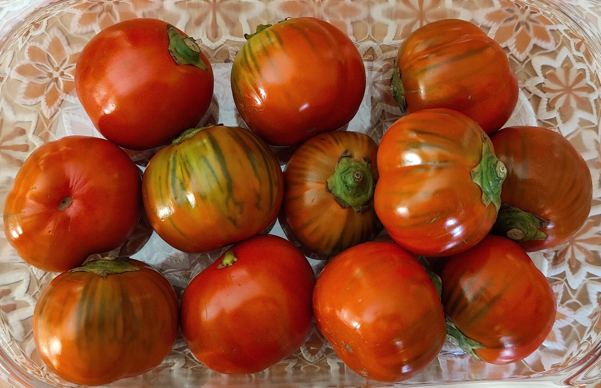 Melanzane di Rotonda Rossa DOP