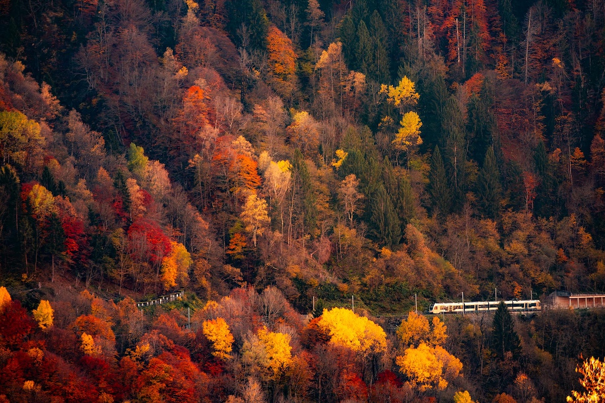 treno-del-foliage-Ferrovia-Vigezzina-Centovalli - ph. Alberto Lorenzina