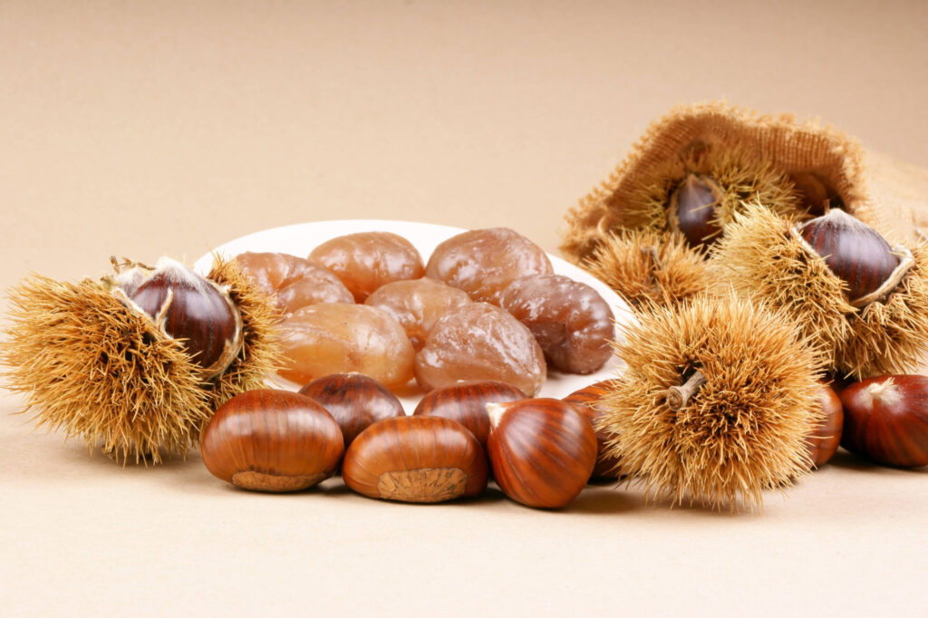 Marroni o castagne