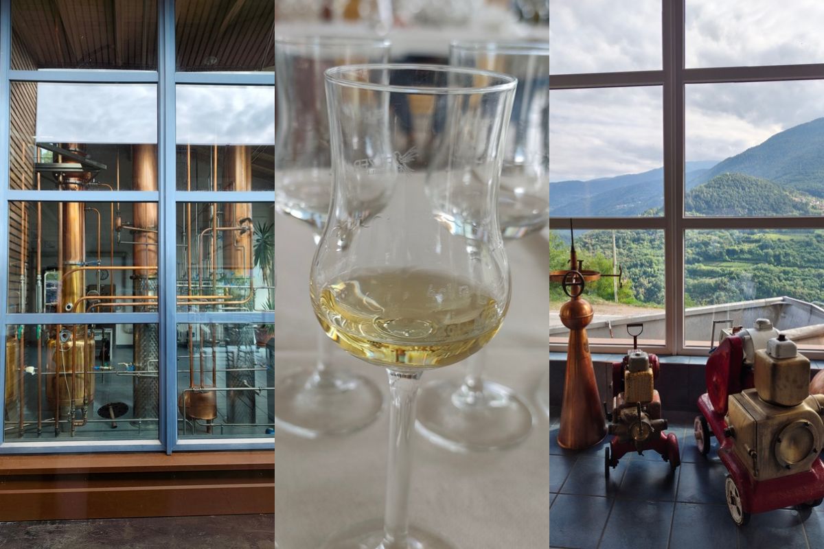 Distilleria Pilzer