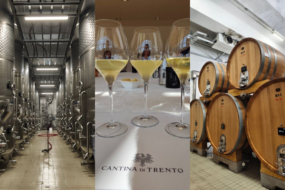 cantina di trento